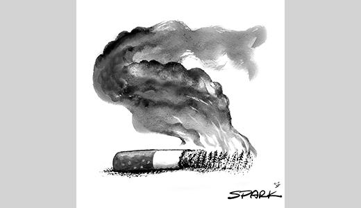 Spark